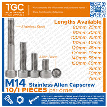 Load image into Gallery viewer, 1PC SS Allen Capscrew M 14 x 25~100mm long
